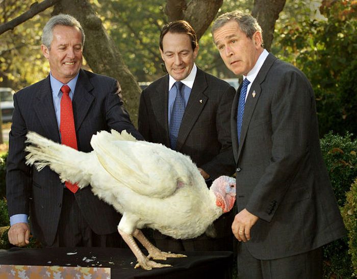 Funny Thanksgiving Moments (35 pics + 1 gif)