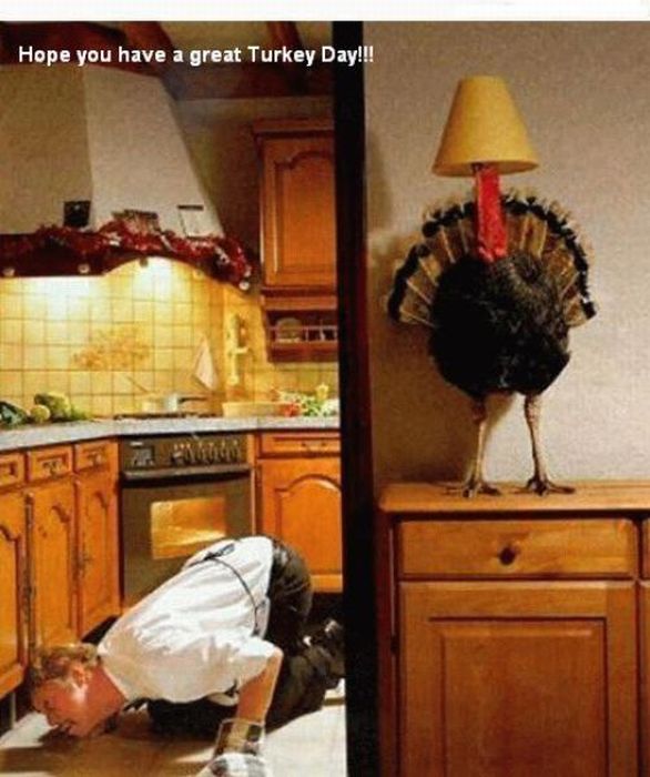 Funny Thanksgiving Moments (35 pics + 1 gif)