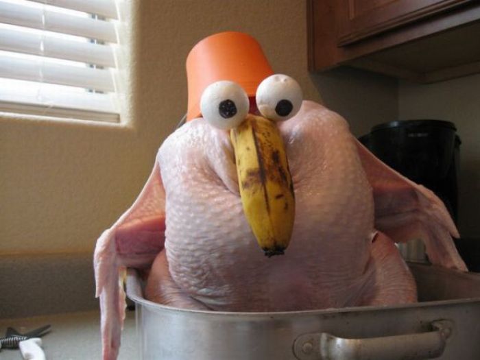 Funny Thanksgiving Moments (35 pics + 1 gif)