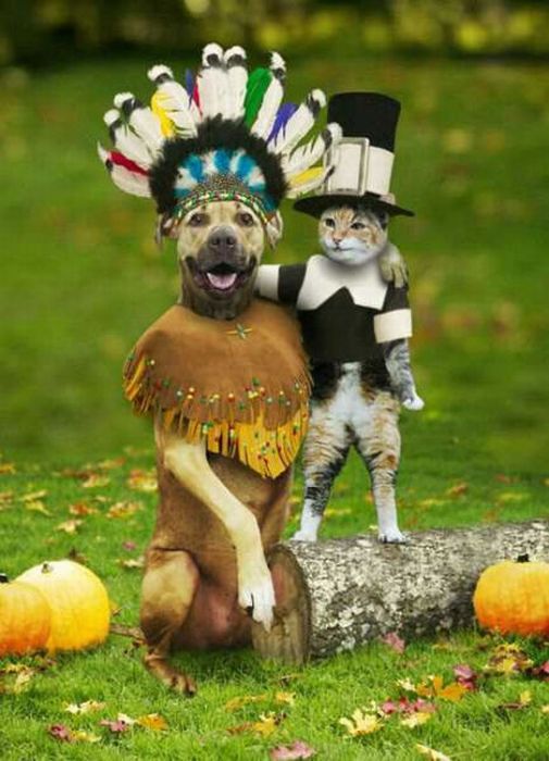 Funny Thanksgiving Moments (35 pics + 1 gif)