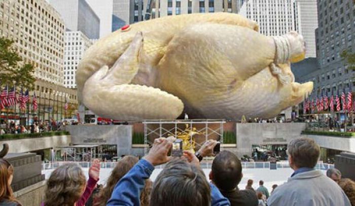 Funny Thanksgiving Moments (35 pics + 1 gif)