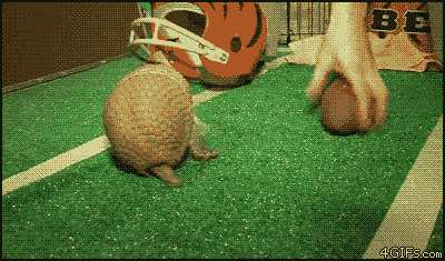 Acid Gifdump (10 gifs)