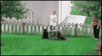 Acid Gifdump (10 gifs)