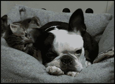 Acid Gifdump (10 gifs)