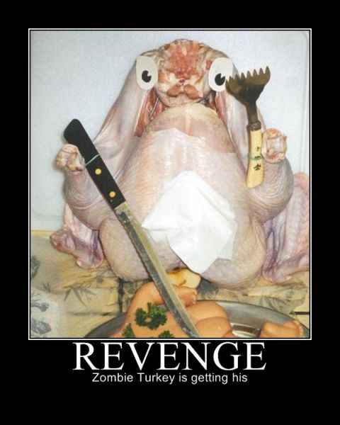 Thanksgiving Day Demotivational Posters (22 pics)