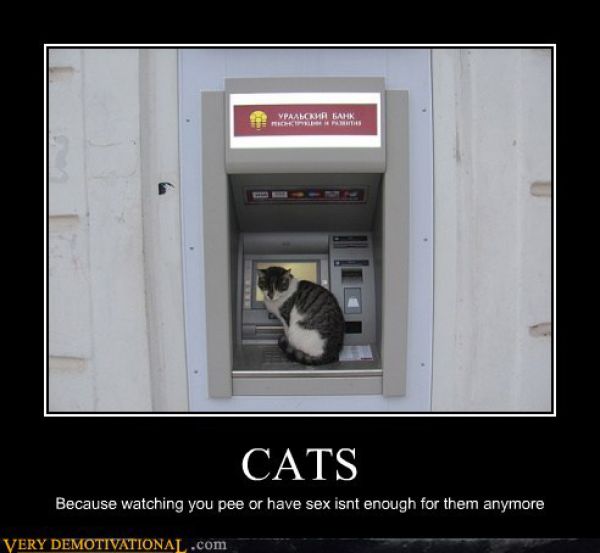 Funny Demotivational Posters (32 pics)