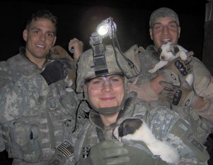 Dead Soldier's Puppy Became a Symbol of Hope for His Family (10 pics)