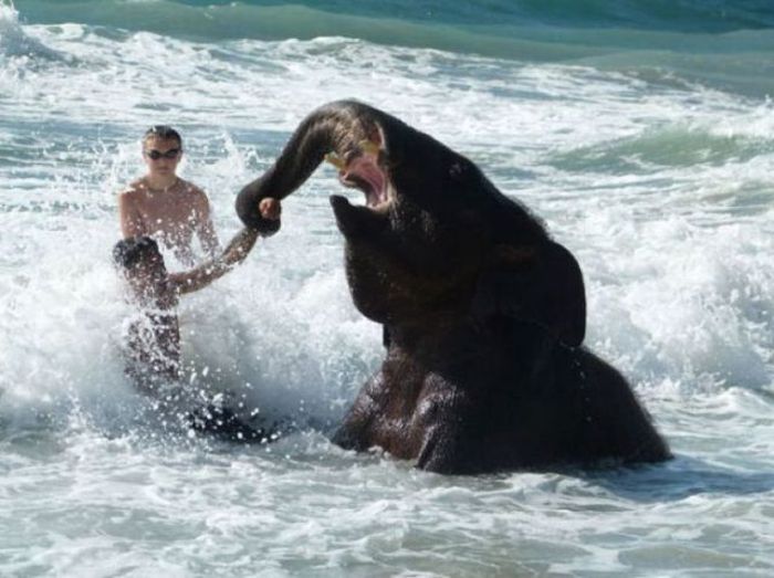 Acid Picdump (105 pics)