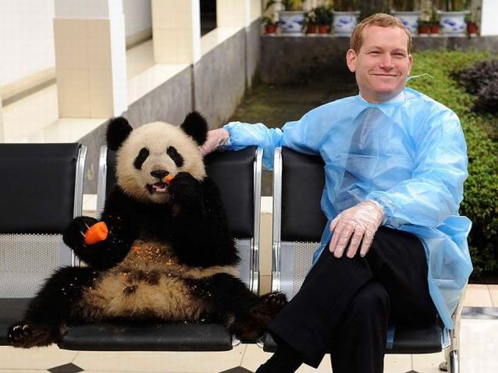Acid Picdump (105 pics)