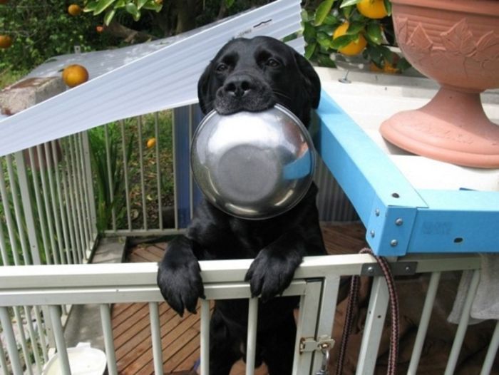 Acid Picdump (105 pics)