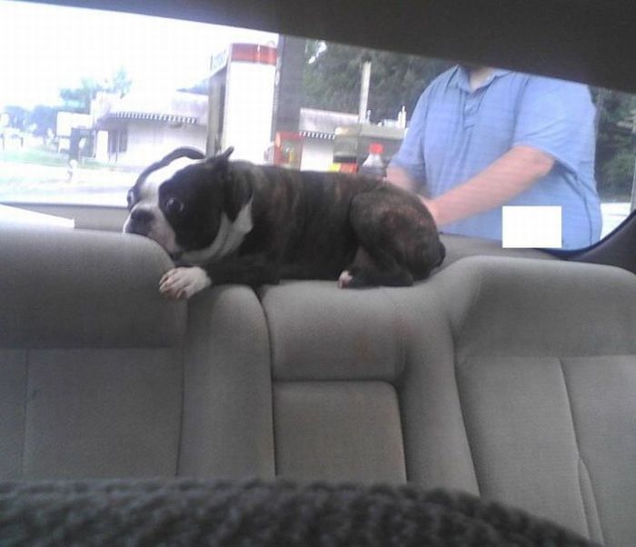 Acid Picdump (105 pics)