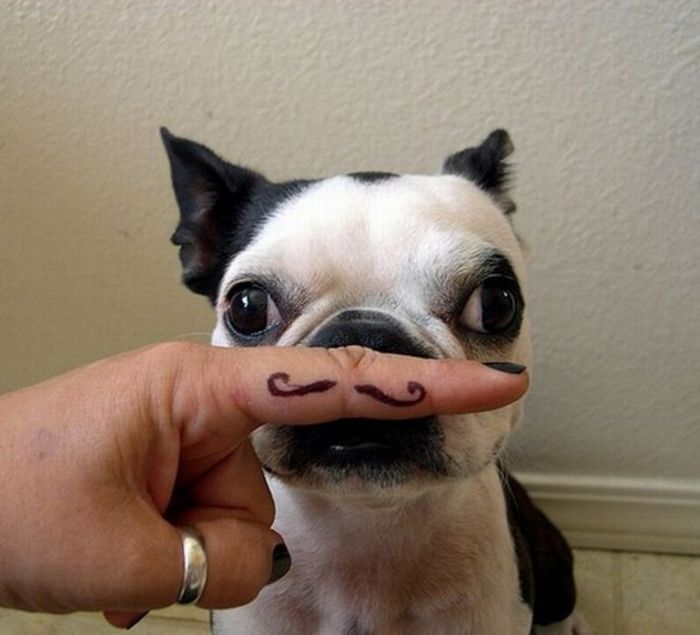 Acid Picdump (105 pics)
