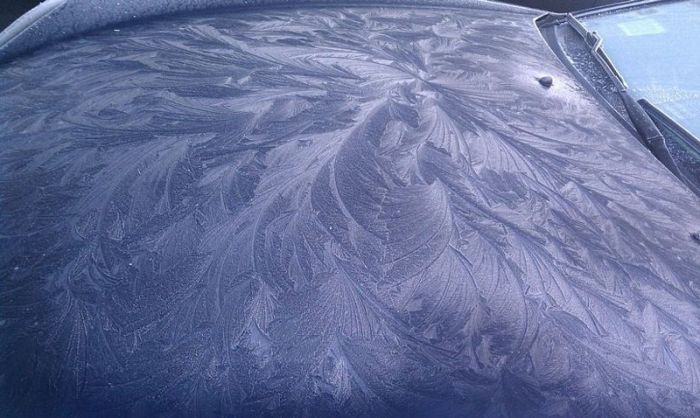 Acid Picdump (105 pics)