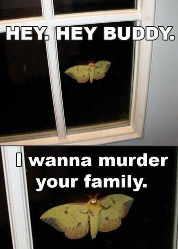 Acid Picdump (105 pics)