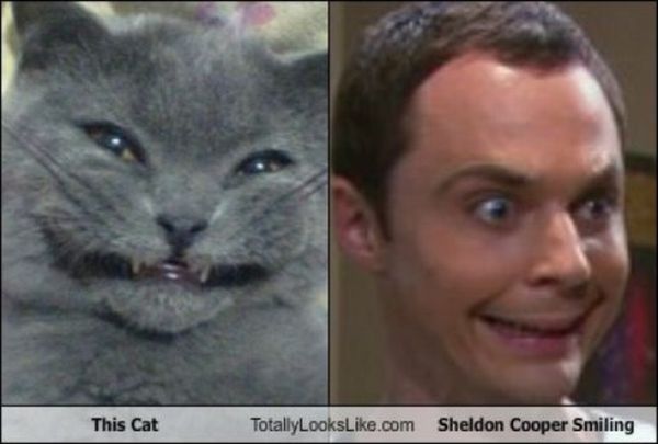 Acid Picdump (105 pics)
