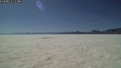 Acid Gifdump (10 gifs)