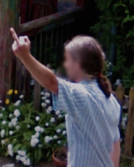 Middle Finger on Street View (20 pics)