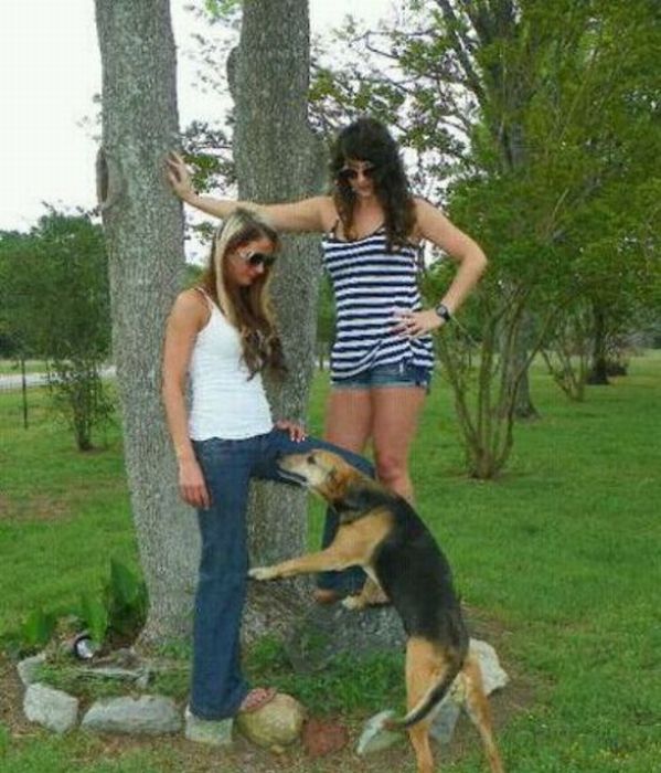Funny, Weird and Absurd Images (52 pics + 1 gif)