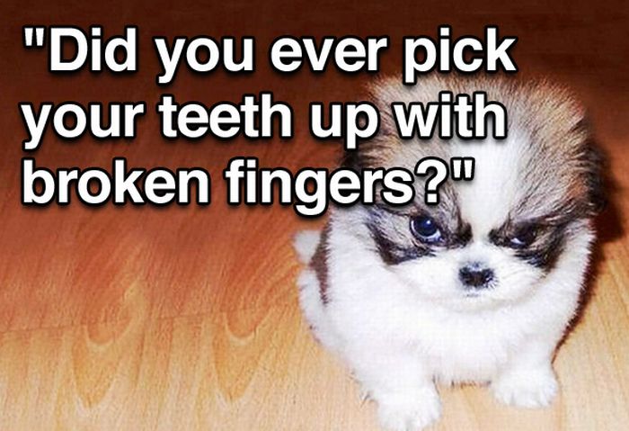 Tough Guy Movie Quotes From A Puppy (15 pics)