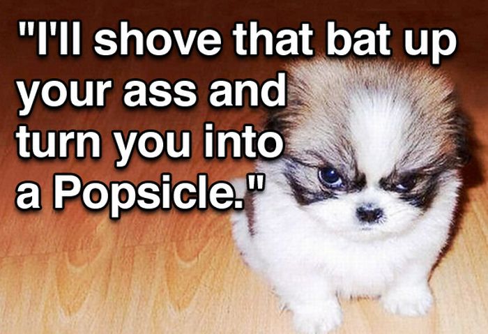Tough Guy Movie Quotes From A Puppy (15 pics)
