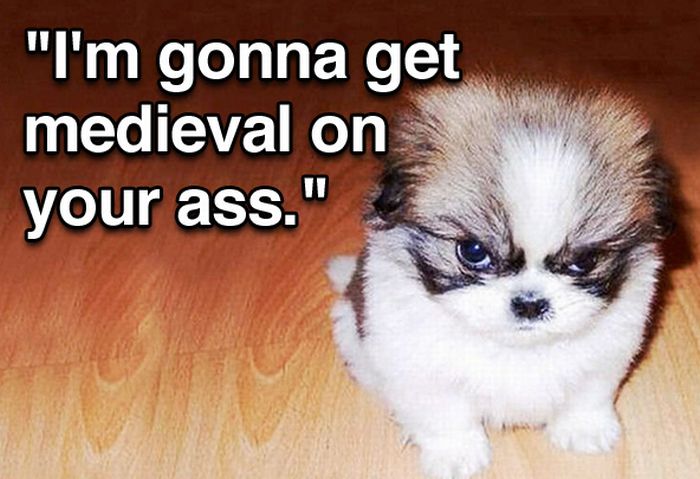 Tough Guy Movie Quotes From A Puppy (15 pics)