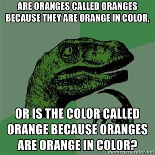 The Most Provocative Questions Posed By Philosoraptor (23 pics)