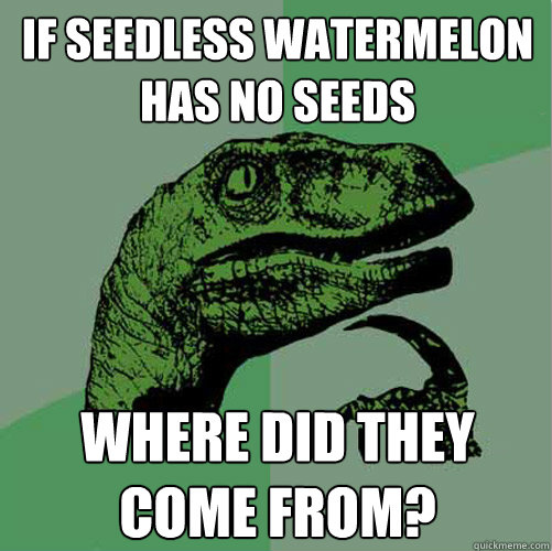 The Most Provocative Questions Posed By Philosoraptor (23 pics)