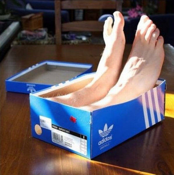 If Everything Was the Other Way Round (37 pics)