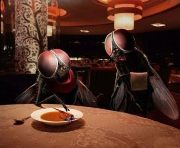 If Everything Was the Other Way Round (37 pics)