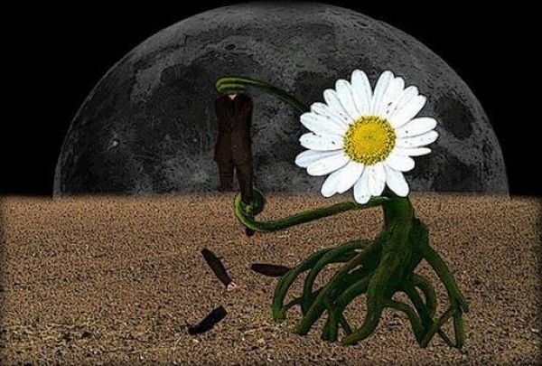 If Everything Was the Other Way Round (37 pics)