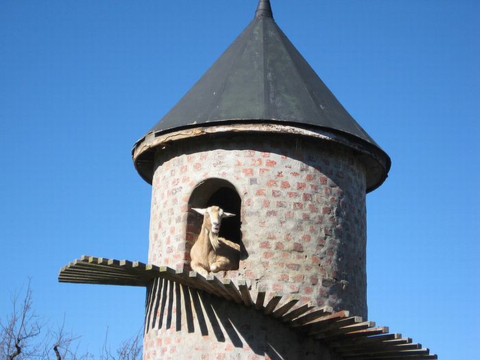 The Goat Tower (9 pics)