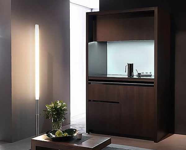 Compact Kitchens for Tiny NYC Apartments (11 pics)