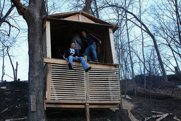 Construction of a Tree Fort (48 pics)