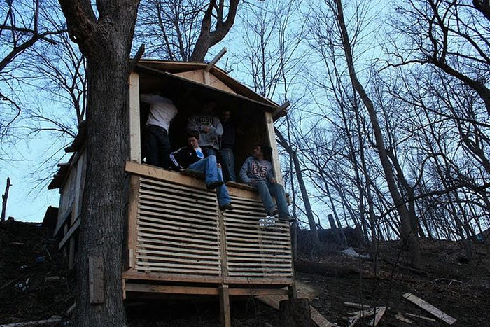 Construction of a Tree Fort (48 pics)