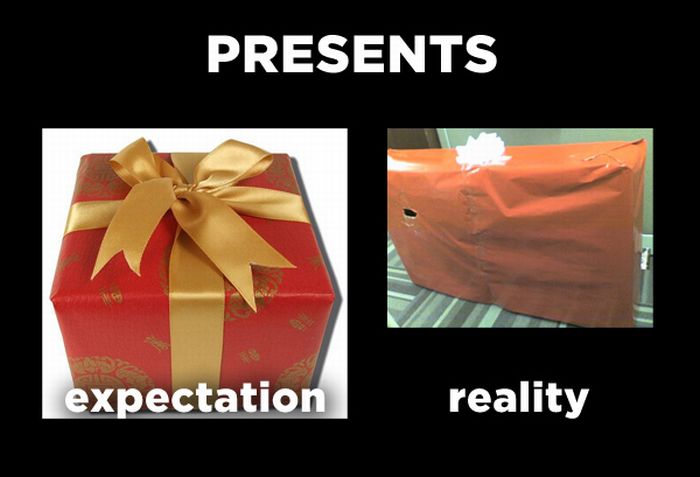 Holiday Expectations Vs Reality (12 pics) .