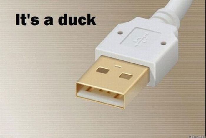Haven’t You Noticed This Before? (29 pics + 1 gif)