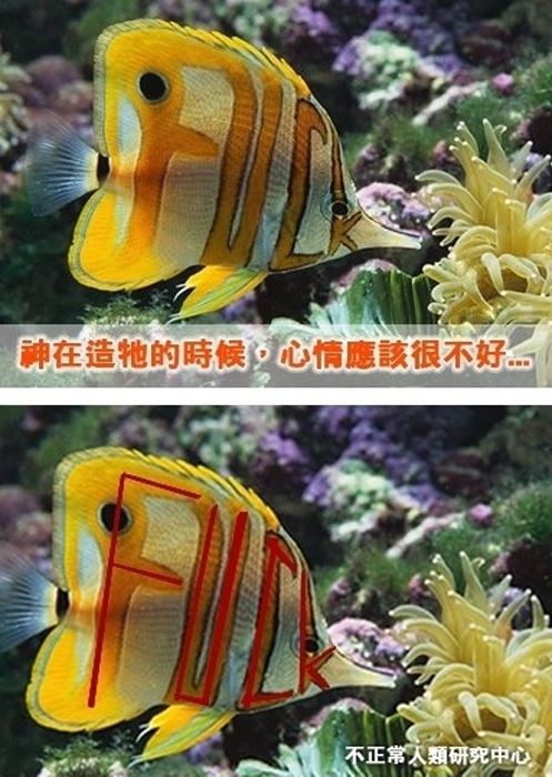 Haven’t You Noticed This Before? (29 pics + 1 gif)