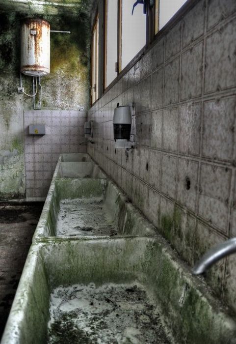 Abandoned Slaughterhouse in Florence (20 pics)