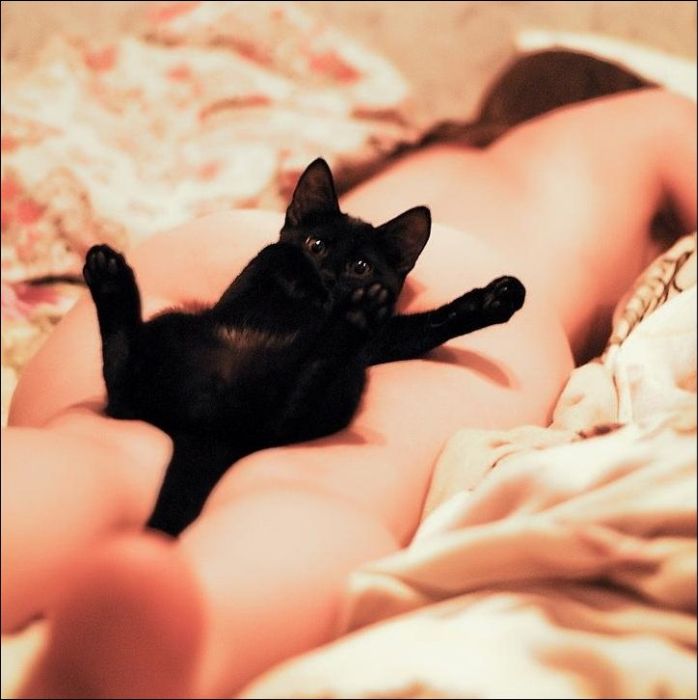 100 Cat Photos (135 pics)
