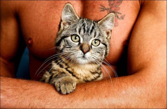 100 Cat Photos (135 pics)