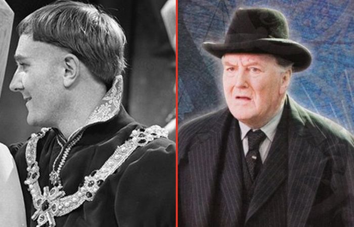 Adult “Harry Potter” Actors When They Were Young (11 pics)