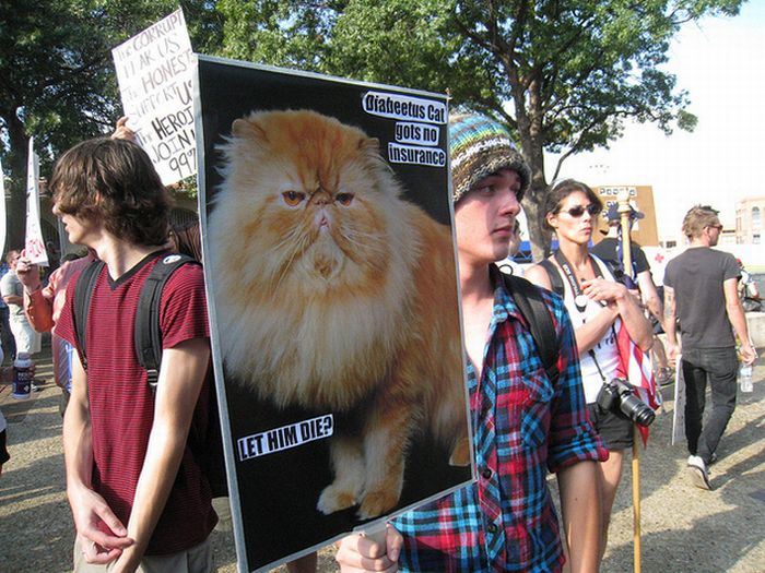 The 40 Best Protest Signs Of 2011 (40 pics)