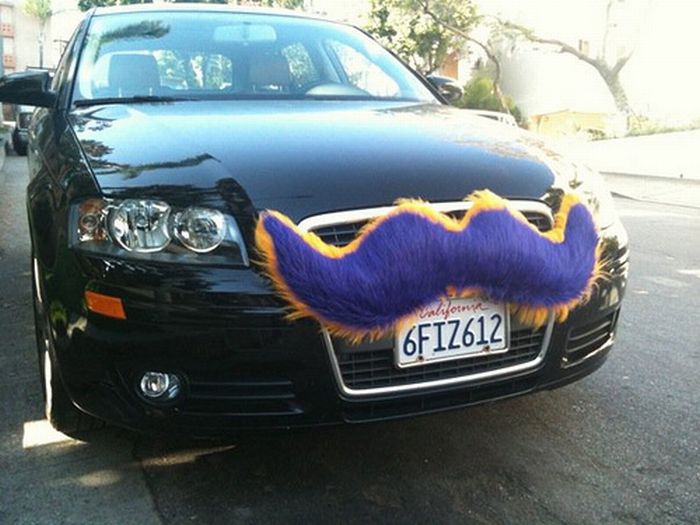 Cars with Mustaches (28 pics)