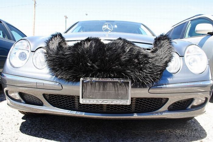Cars with Mustaches (28 pics)