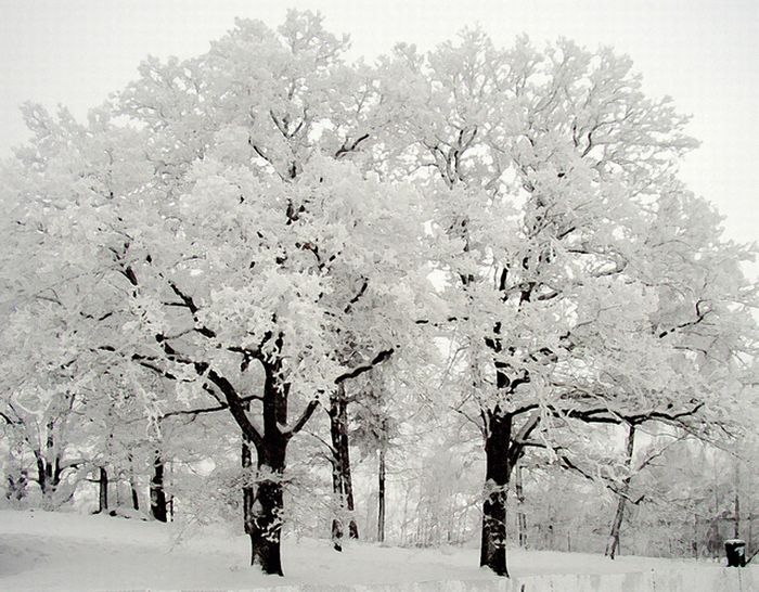 Beautiful Winter Photography (35 pics)