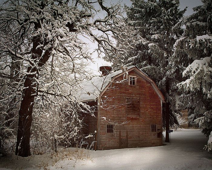 Beautiful Winter Photography (35 pics)