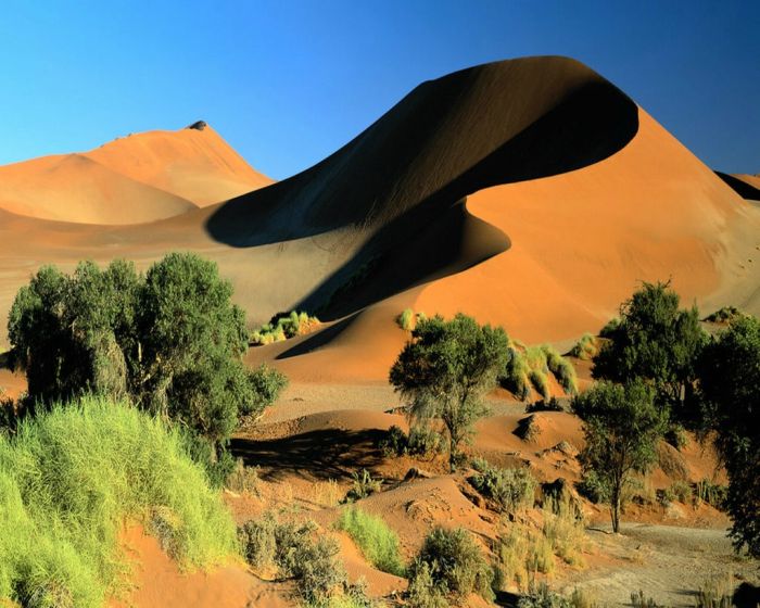 Beautiful Dunes (34 pics)