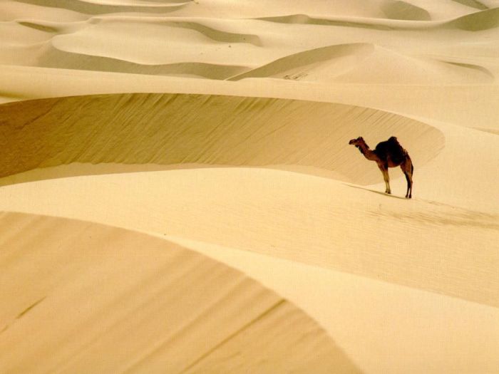 Beautiful Dunes (34 pics)