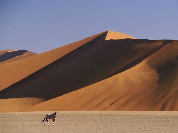 Beautiful Dunes (34 pics)