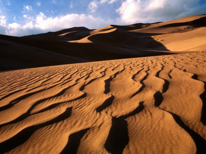 Beautiful Dunes (34 pics)